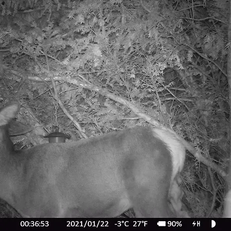 Haus Anni Maison d'hôtes