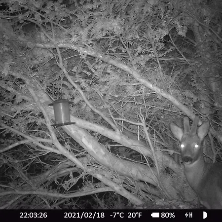 Haus Anni 3* Bad Kleinkirchheim