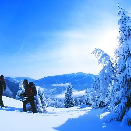 Haus Anni Maison d'hôtes Bad Kleinkirchheim