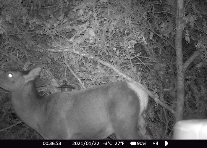 Haus Anni Vendégház