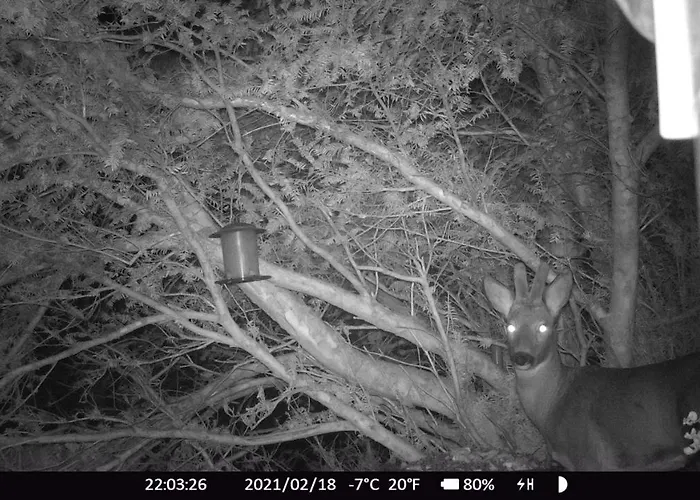 Haus Anni 3* Bad Kleinkirchheim